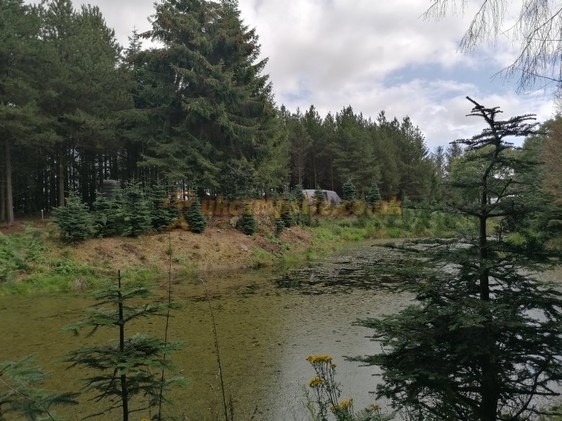 Noble Wood Camping