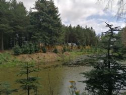 Noble Wood Camping
