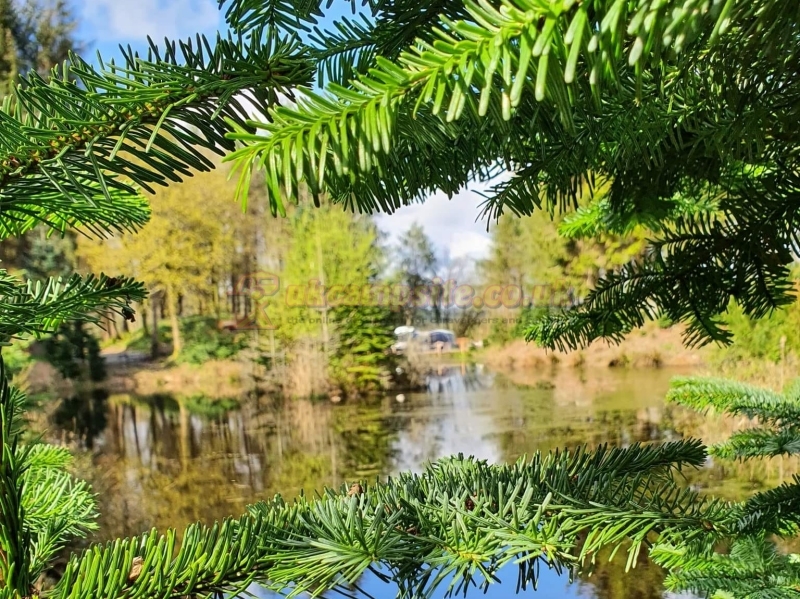 Noble Wood Camping