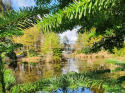 Noble Wood Camping