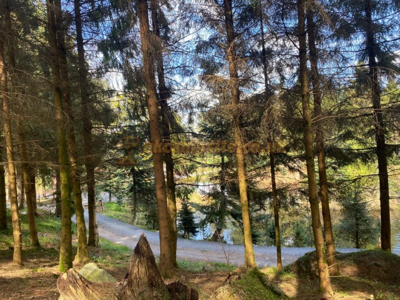 Noble Wood Camping