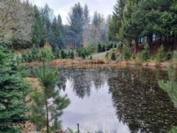 Noble Wood Camping