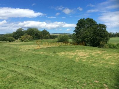 Chester Villa Camping And Caravan Site