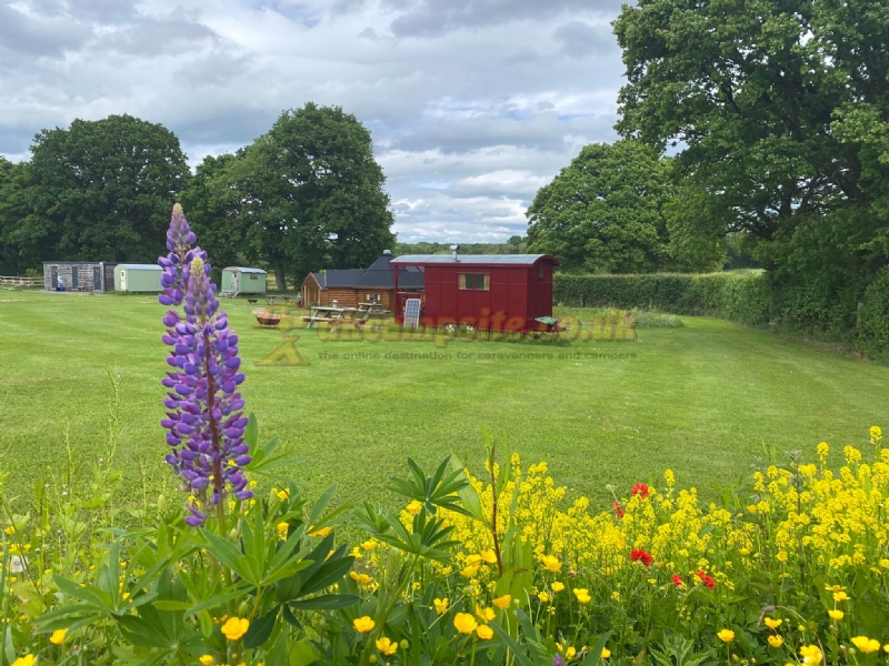 Cwtch Cabins And Camping