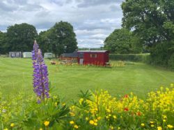 Cwtch Cabins And Camping