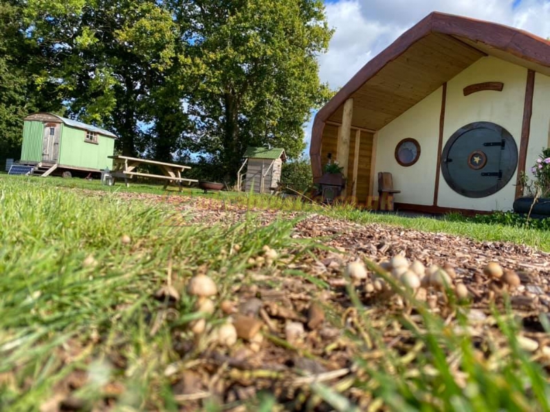 Cwtch Cabins And Camping