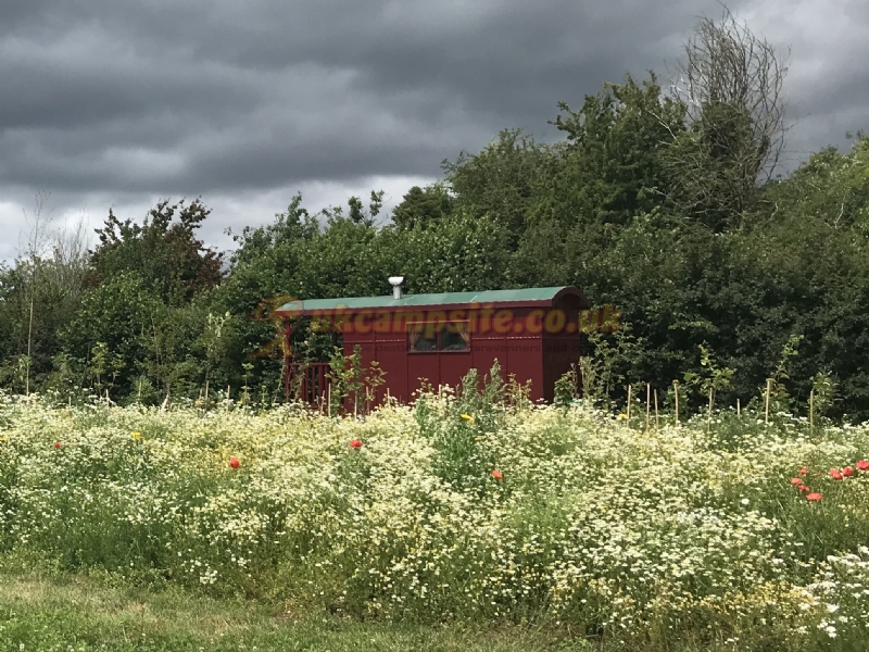 Cwtch Cabins And Camping