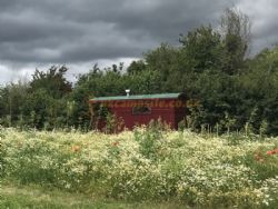 Cwtch Cabins And Camping