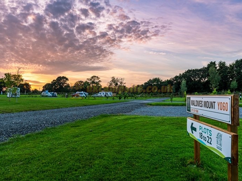 Flaxton Meadows Eco Campsite