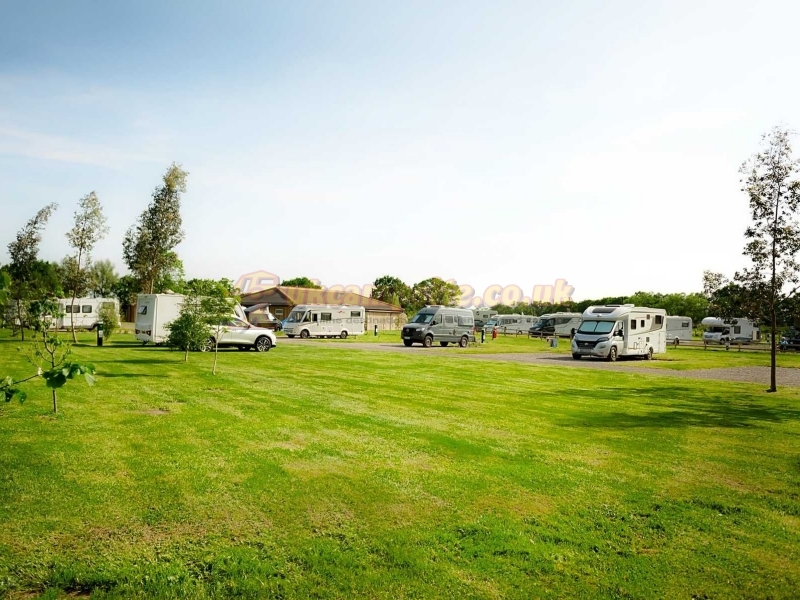 Flaxton Meadows Eco Campsite
