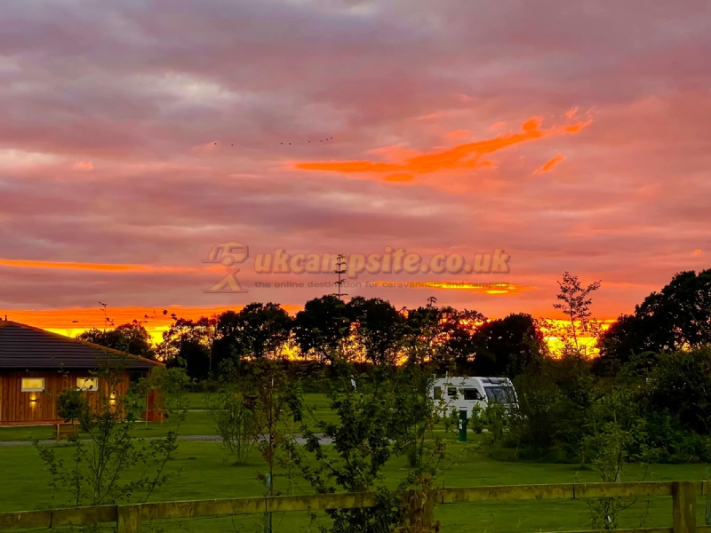 Flaxton Meadows Eco Campsite