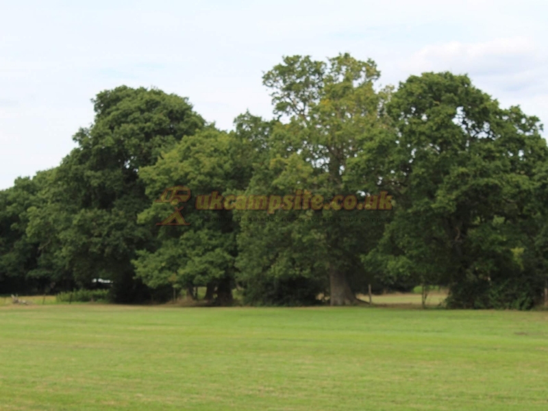 The Homestead Campsite