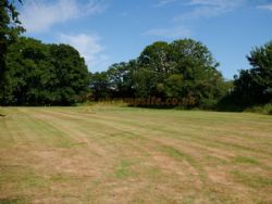 The Homestead Campsite