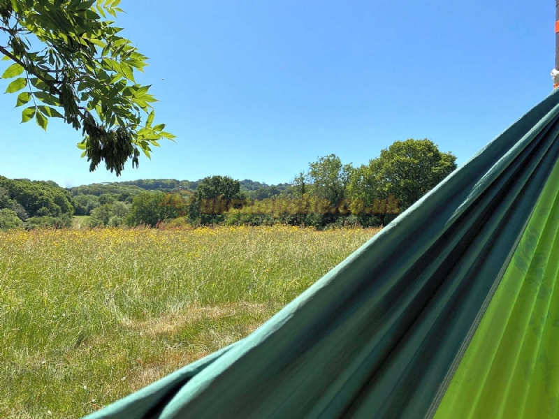 Woods And Meadow Pop Up Campsite