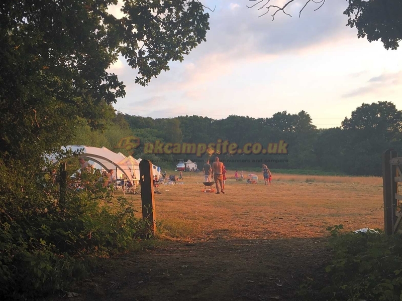 Woods And Meadow Pop Up Campsite