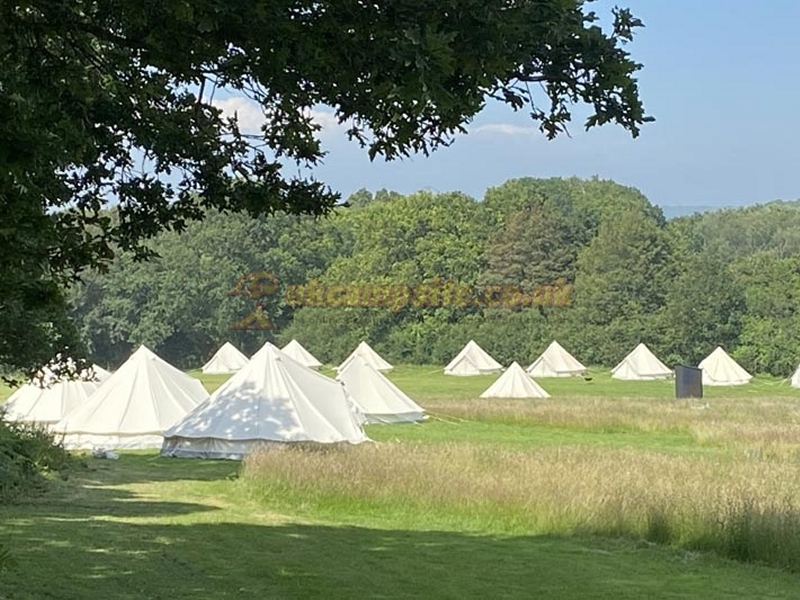Woods And Meadow Pop Up Campsite