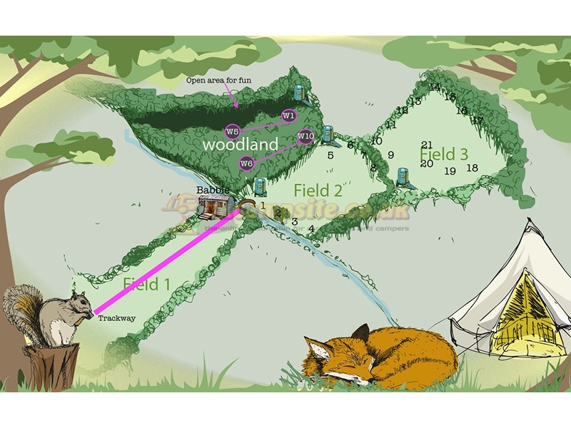 Woods And Meadow Pop Up Campsite