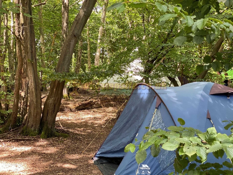 Woods And Meadow Pop Up Campsite