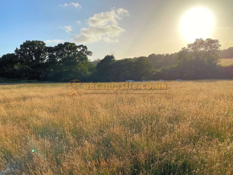 Woods And Meadow Pop Up Campsite