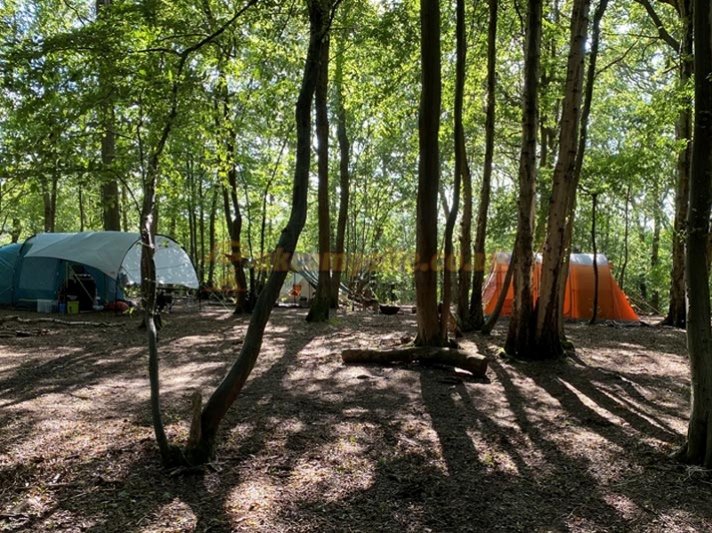 Woods And Meadow Pop Up Campsite