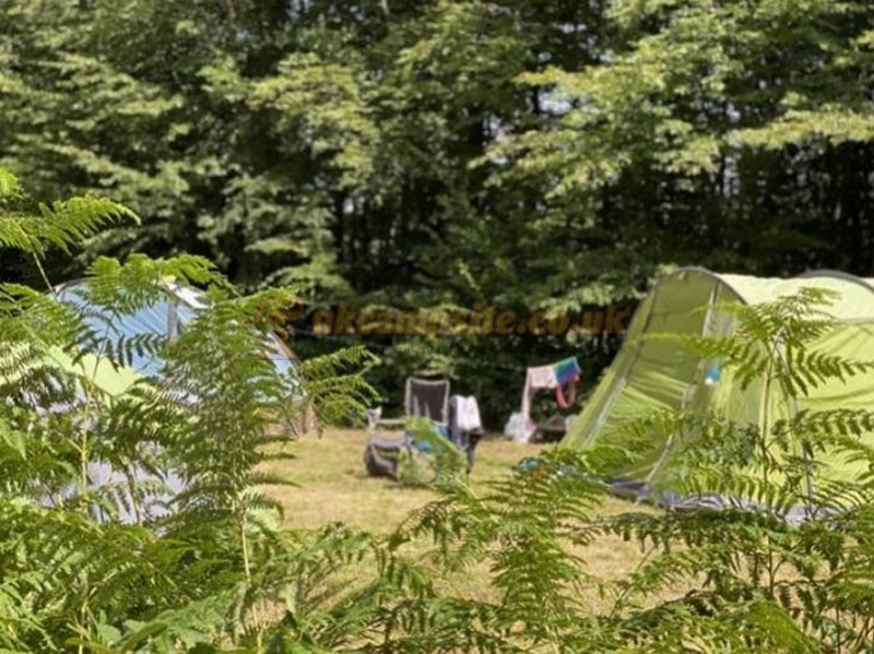 Woods And Meadow Pop Up Campsite