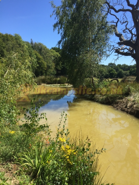 Beeches Place Farm Campsite
