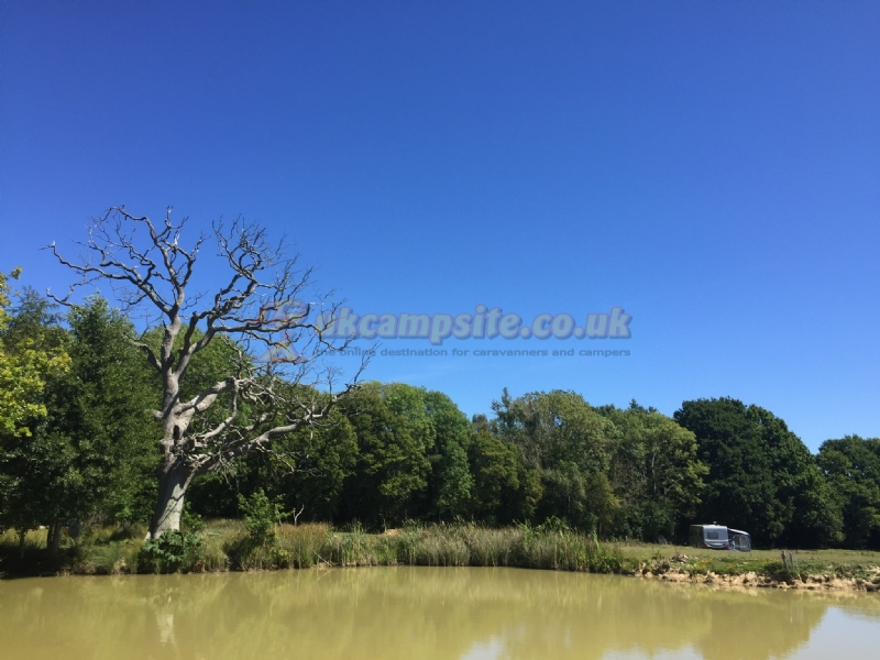 Beeches Place Farm Campsite