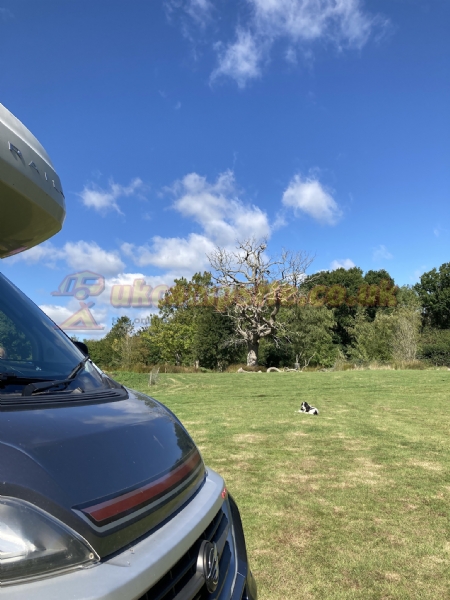 Beeches Place Farm Campsite