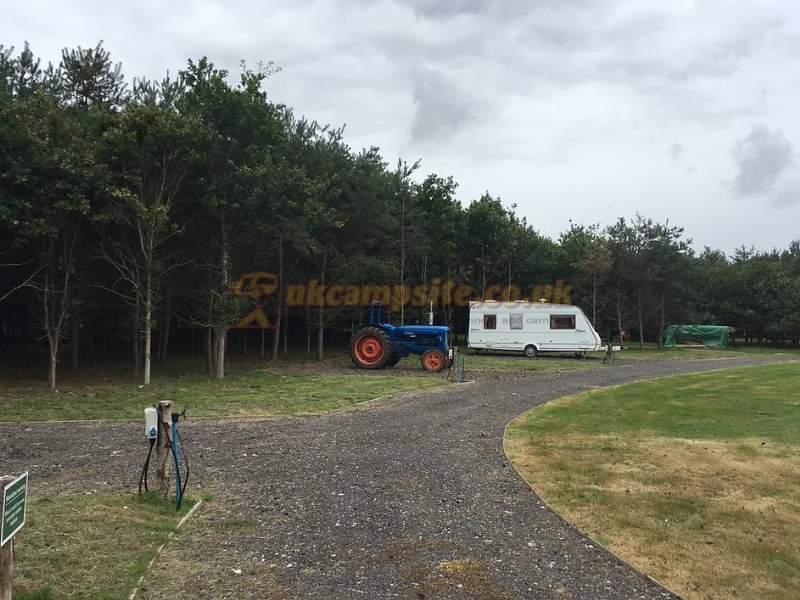 Old Farm Camping And Touring Site