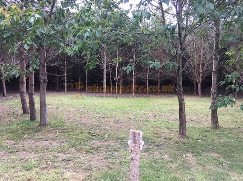 Old Farm Camping And Touring Site