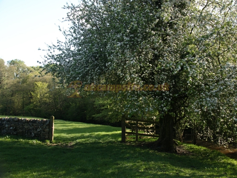 Ecton Bridge Campsite