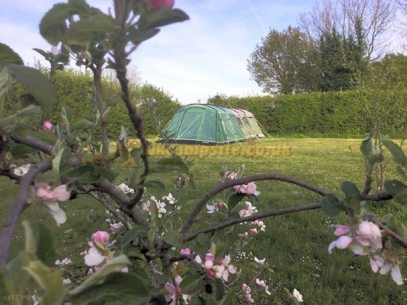 Camping Le Jardin De Rose