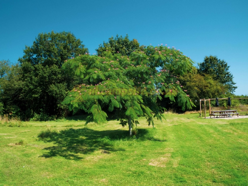 Camping Le Jardin De Rose