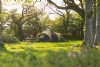 Little Welsh Wood Camping and Glamping Little Welsh Wood Camping and Glamping