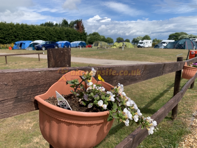 Larick Campsite