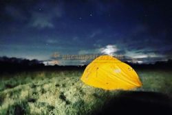 Ferrygate Camping