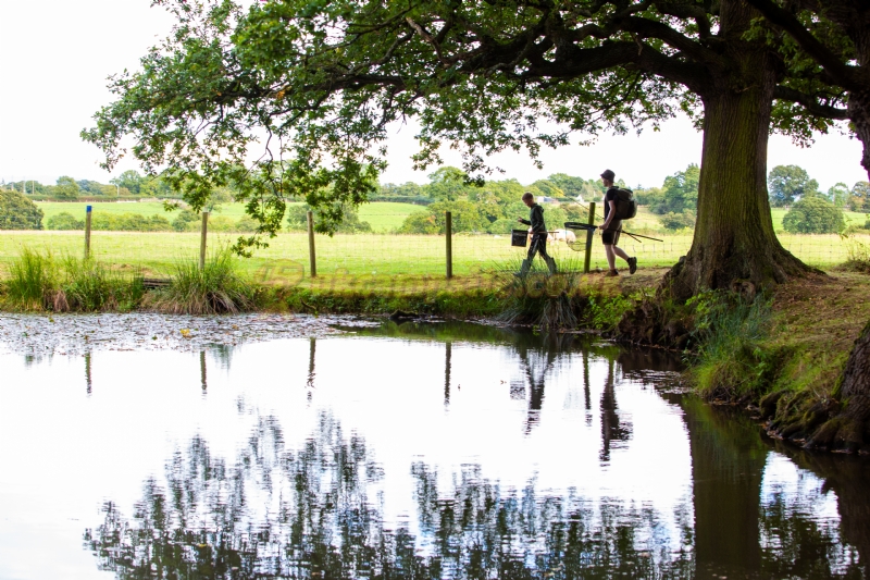 Plassey Holiday Park