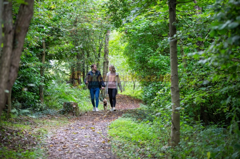 Plassey Holiday Park