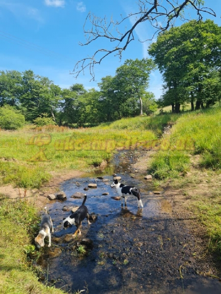 Hillend Camping And Motorhomes