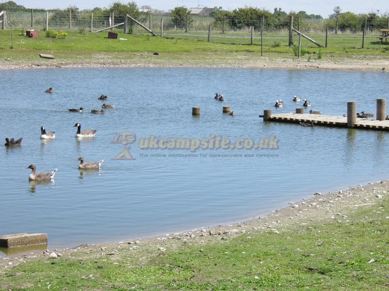 Bank Mill Visitor Centre Certificated Site