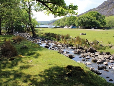 Cwm Bychan Campsite
