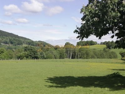 Cam Or Fechan Rally Site