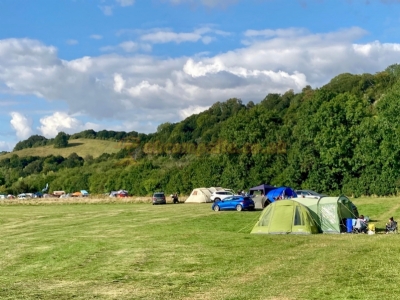 Otters Camping At Beale Park