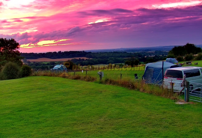 Spring Field Dark Skies Eco Camp