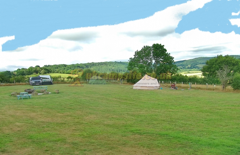 Spring Field Dark Skies Eco Camp