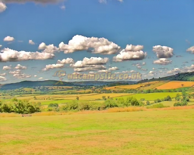 Spring Field Dark Skies Eco Camp