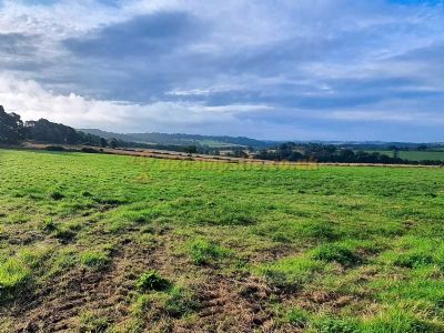Gildage Forge Farm Campsite