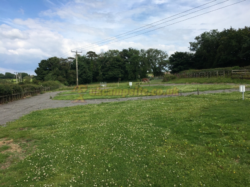 Twin Oaks Camp Site