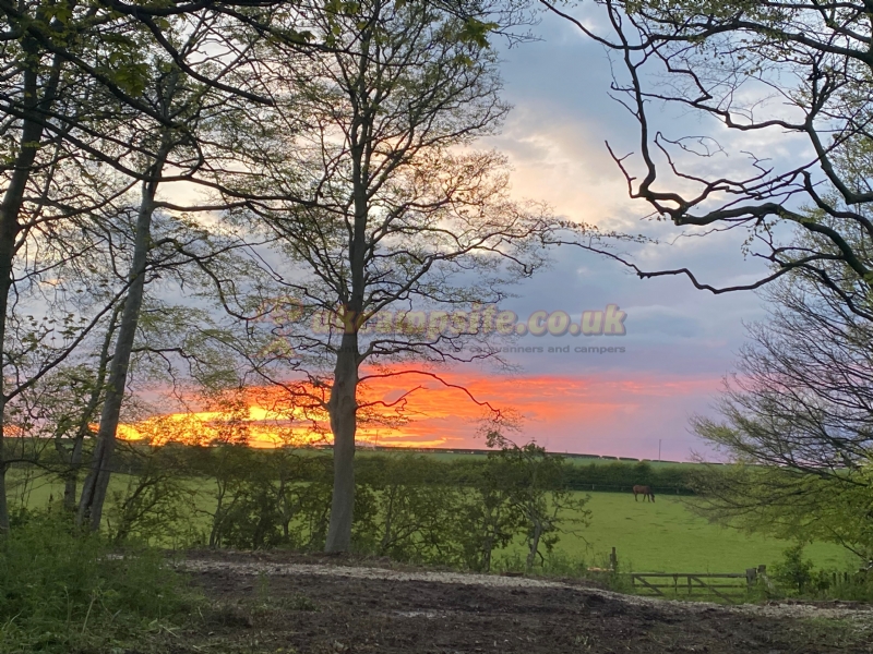 Field House Farm Popup Campsite