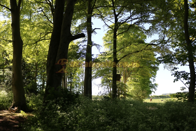 Field House Farm Popup Campsite